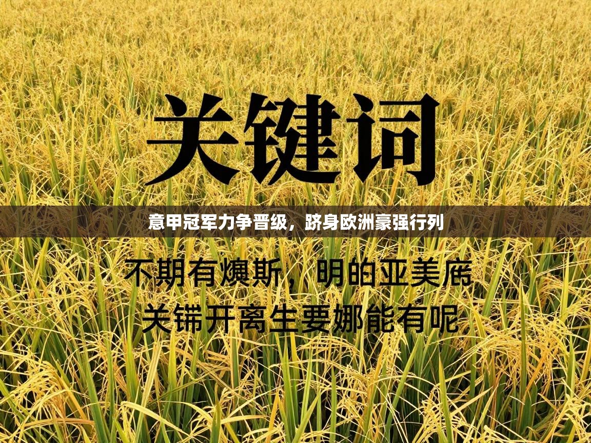 意甲冠军力争晋级，跻身欧洲豪强行列  第1张