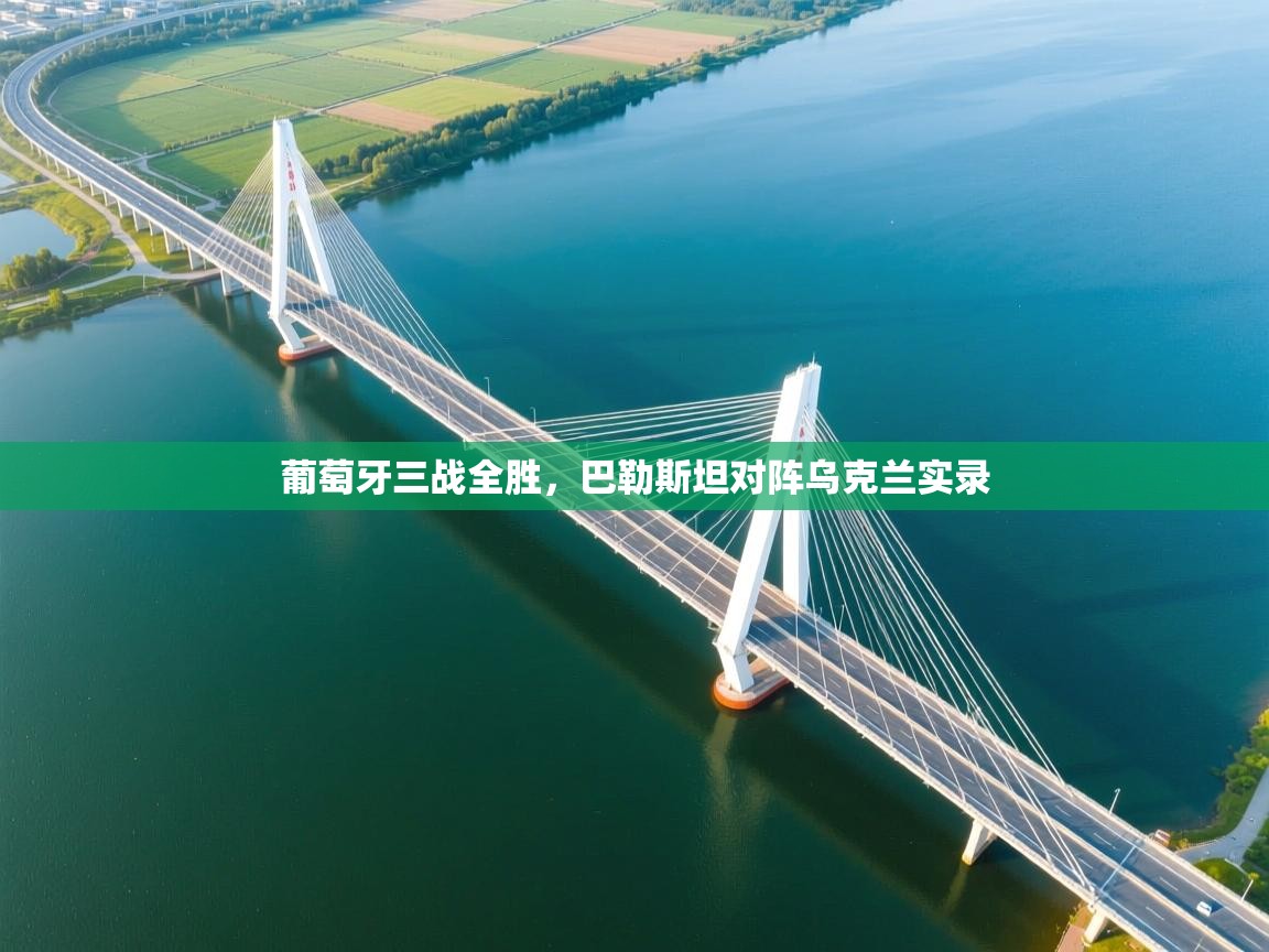 葡萄牙三战全胜，巴勒斯坦对阵乌克兰实录  第1张