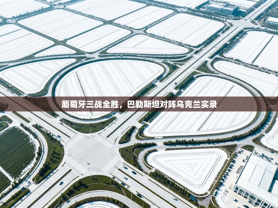 葡萄牙三战全胜，巴勒斯坦对阵乌克兰实录  第2张