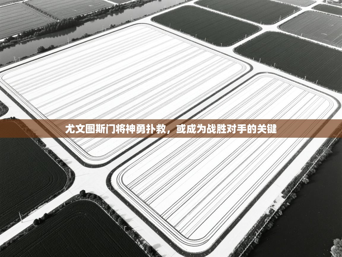 尤文图斯门将神勇扑救，或成为战胜对手的关键  第1张