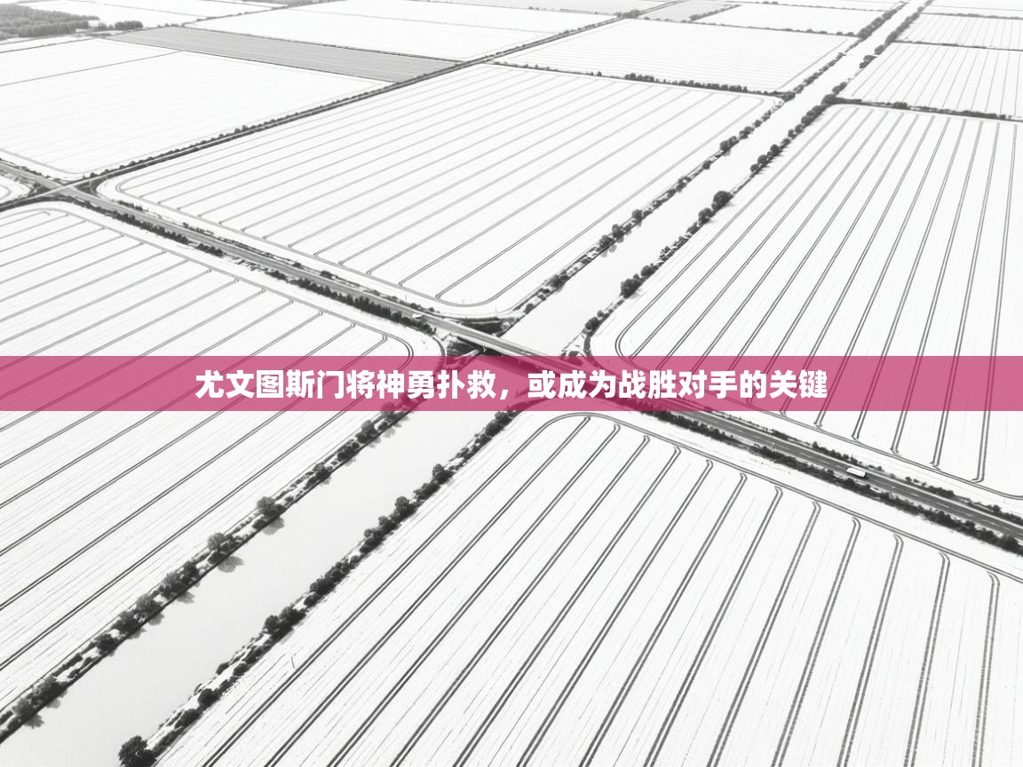 尤文图斯门将神勇扑救，或成为战胜对手的关键  第2张