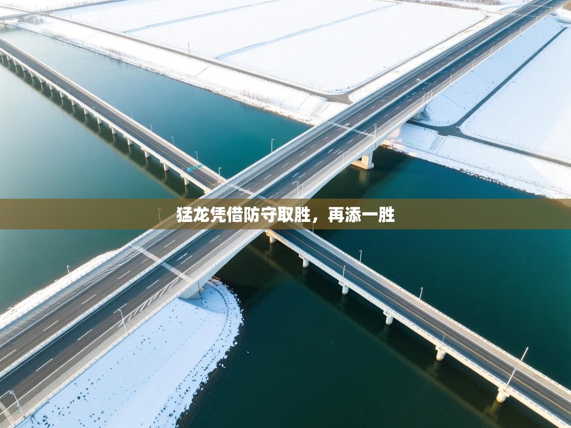 猛龙凭借防守取胜，再添一胜  第2张