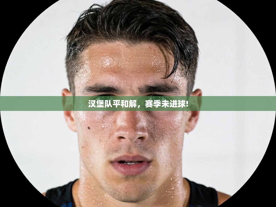 汉堡队平和解,赛季未进球! 第1张