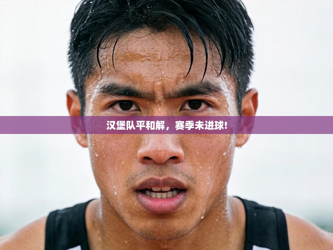 汉堡队平和解,赛季未进球! 第2张